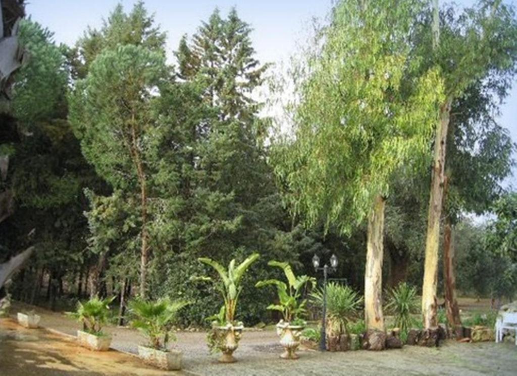 Villa Mado Чельє-Мессапіка Екстер'єр фото